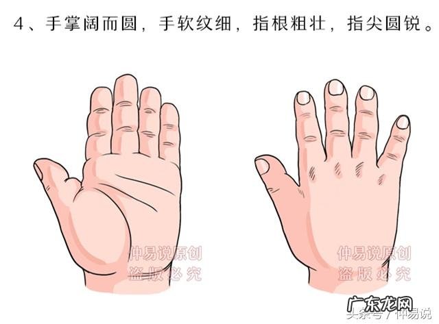 不同的手型有什么说法 五种手型对事业发展的解释