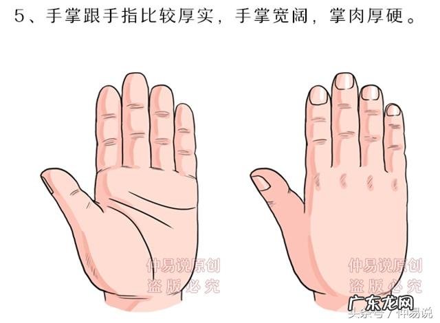 不同的手型有什么说法 五种手型对事业发展的解释
