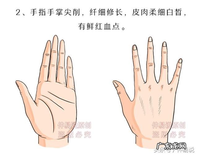 不同的手型有什么说法 五种手型对事业发展的解释