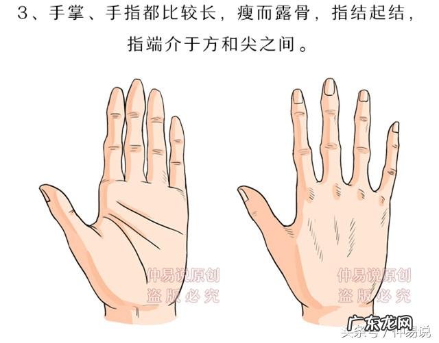不同的手型有什么说法 五种手型对事业发展的解释