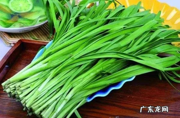 韭菜不适宜什么人群吃 食用韭菜有什么好处作用