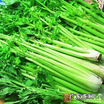 高血压患者可以多吃哪些蔬菜 适合高血压人群的蔬菜分享