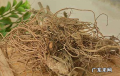苦地胆的功效与作用 关于苦地胆的简单介绍