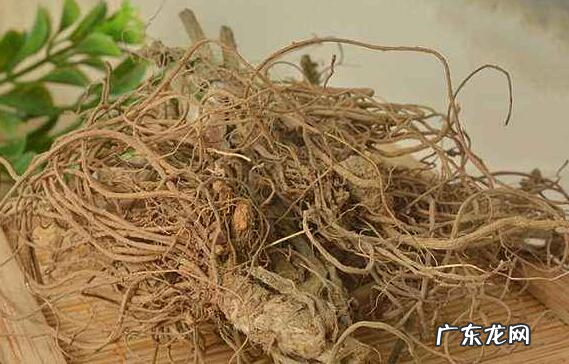 苦地胆的功效与作用 关于苦地胆的简单介绍