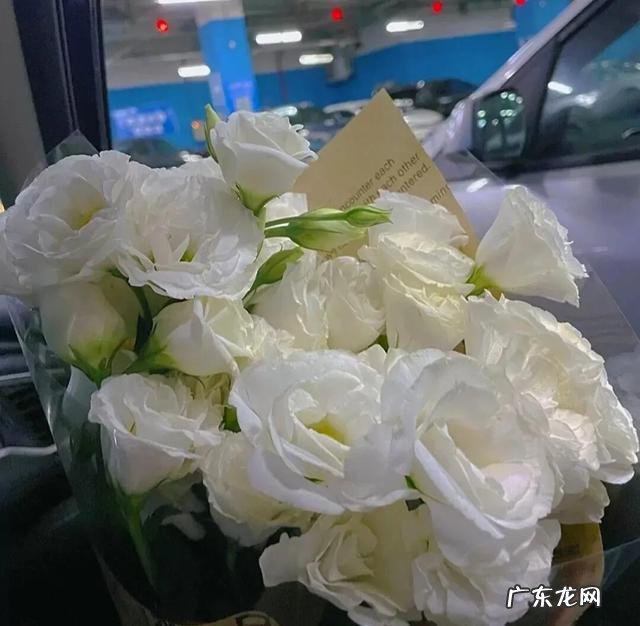 玫瑰颜色的含义及图片 不同的玫瑰花代表了什么