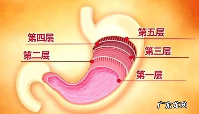 冰水真的会伤胃吗 有哪些人不适合喝冰水