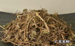 透骨草的功效和作用 孕妇可以使用透骨草吗