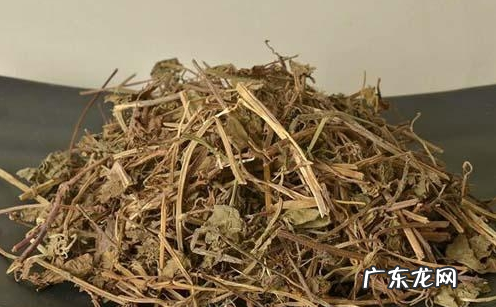 透骨草的功效和作用 孕妇可以使用透骨草吗