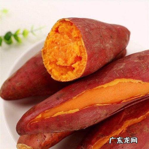吃地瓜对身体有哪些好处 高血糖人群可以吃地瓜吗