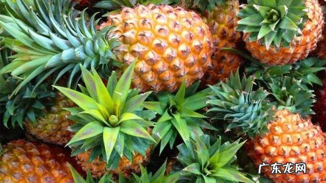 自己在家如何切菠萝 怎么挑选好吃的菠萝