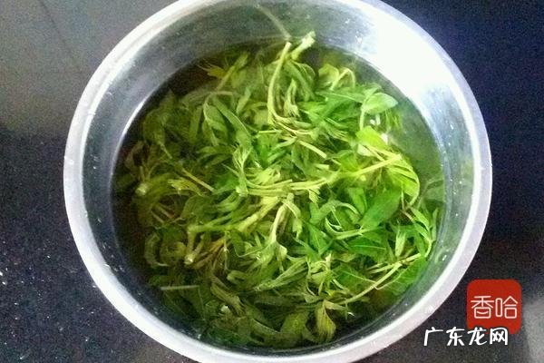 香椿如何腌制好吃 家常香椿的吃法做法分享