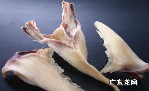 鱼翅的泡发方法分享 关于鱼翅的简单介绍