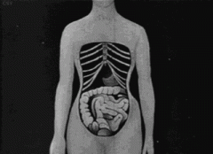 穿束腰对身体有影响吗 束腰可能会对你的身体产生不好的影响