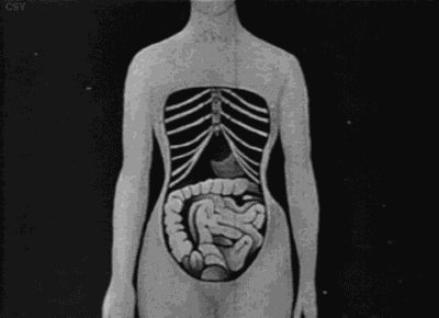 穿束腰对身体有影响吗 束腰可能会对你的身体产生不好的影响