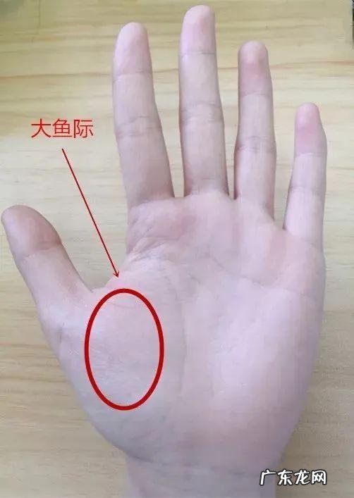 长期失眠一招入睡 失眠的人一定要学会这几招