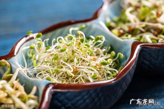 豆芽怎么处理清洗 关于豆芽怎么种最好呢