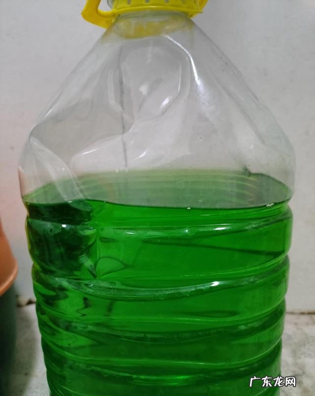 不到一岁的孩子能吃芒果吗 什么水果小孩子不建议食用