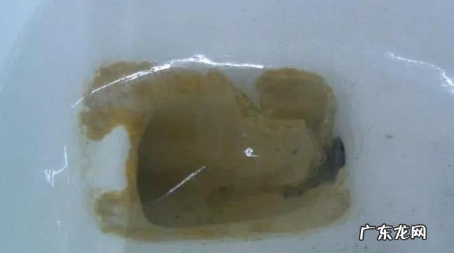 不到一岁的孩子能吃芒果吗 什么水果小孩子不建议食用