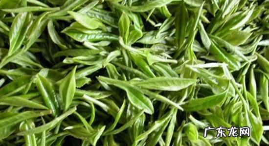 精油的正确使用方法介绍 精油用在护肤哪一步