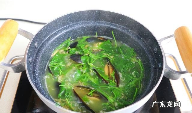 桑葚叶怎么做菜怎么做菜 桑葚叶贻贝汤的做法分享