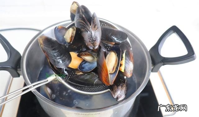 桑葚叶怎么做菜怎么做菜 桑葚叶贻贝汤的做法分享