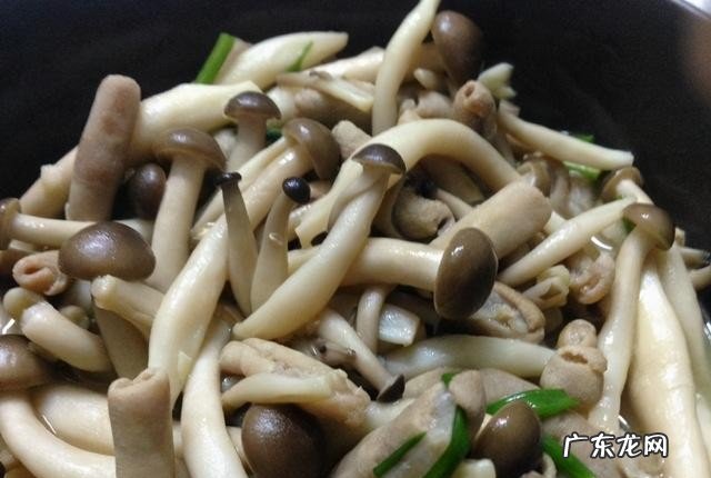 海鲜菇不能和什么一起吃 如何挑选购买海鲜菇