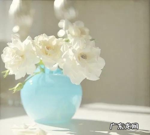 撩女人的幽默早安情话 早安撩人情话分享