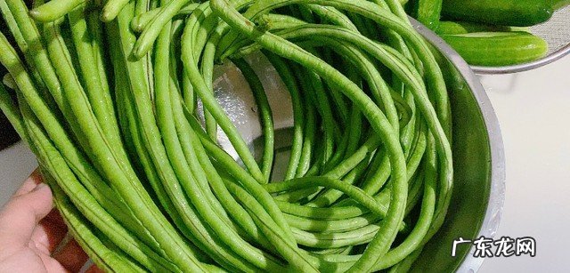 酸豇豆怎么做好吃又简单 手把手教你腌制酸豆角