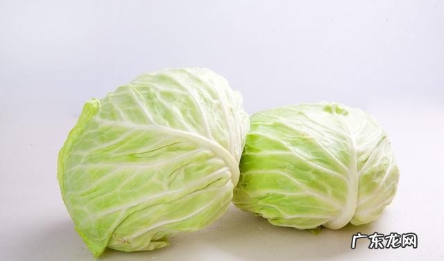 做包菜需要焯水吗 素炒包菜的做法教程分享