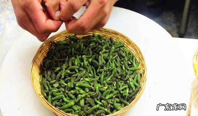 春季有哪些必吃的食物 清火养肝的野菜美食推荐