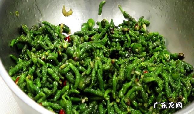春季有哪些必吃的食物 清火养肝的野菜美食推荐