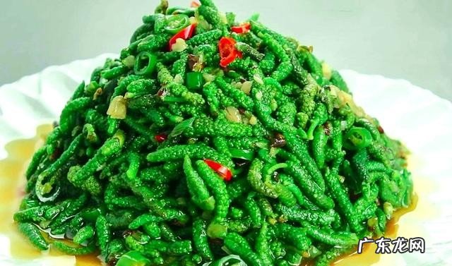 春季有哪些必吃的食物 清火养肝的野菜美食推荐