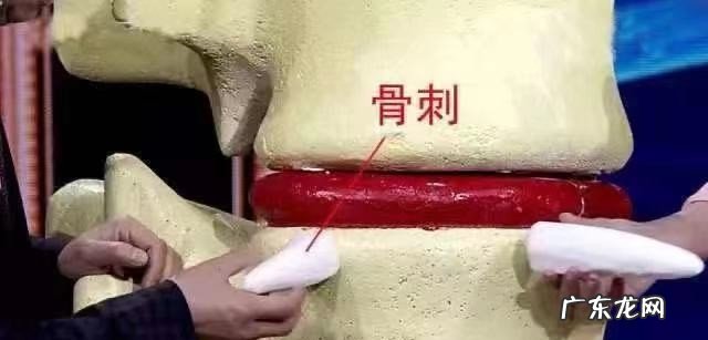 左后背痛是什么病的先兆 后背不同位置的疼痛预示哪些疾病