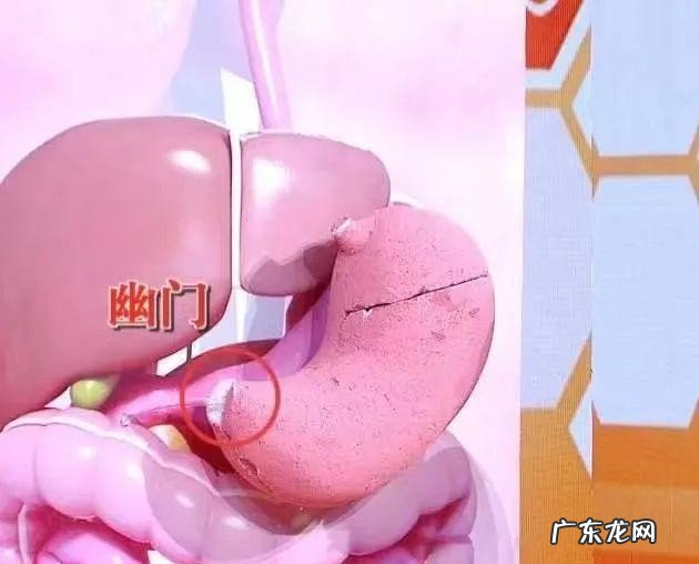 左后背痛是什么病的先兆 后背不同位置的疼痛预示哪些疾病