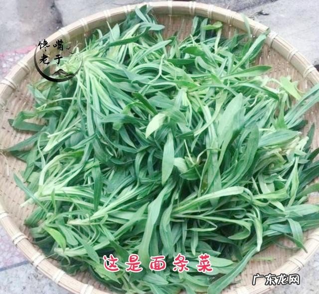 有哪些野菜不建议多吃 食用野菜有什么注意事项