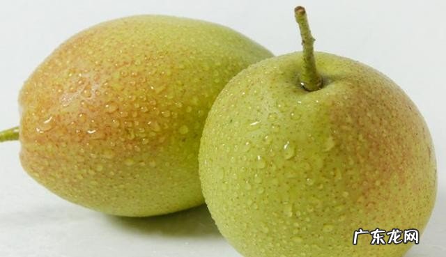 有哪些水果多吃对肾好 肾喜欢的4种水果介绍