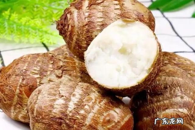 碱性食物能抗癌吗 常见的碱性食物有哪些