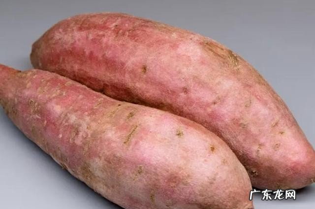 碱性食物能抗癌吗 常见的碱性食物有哪些