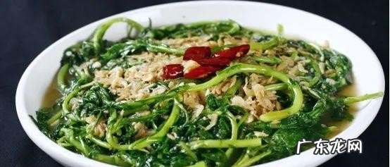 初春五宝汤的食材做法分享 五宝汤需要天天吃吗