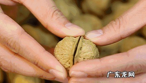 实用的生活小常识分享合集 25条值得收藏的生活常识介绍