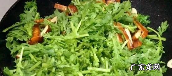 食用茼蒿有什么好处作用 茼蒿的吃法做法分享