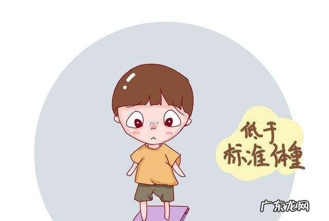 芦荟有哪些功效作用呢 芦荟的药用价值介绍