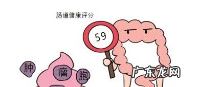 芦荟有哪些功效作用呢 芦荟的药用价值介绍