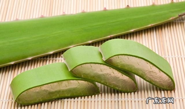 芦荟有哪些功效作用呢 芦荟的药用价值介绍